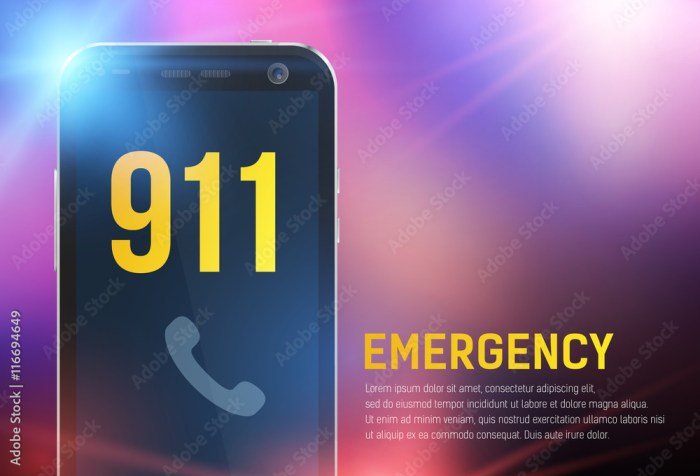 Smartphone emergency features