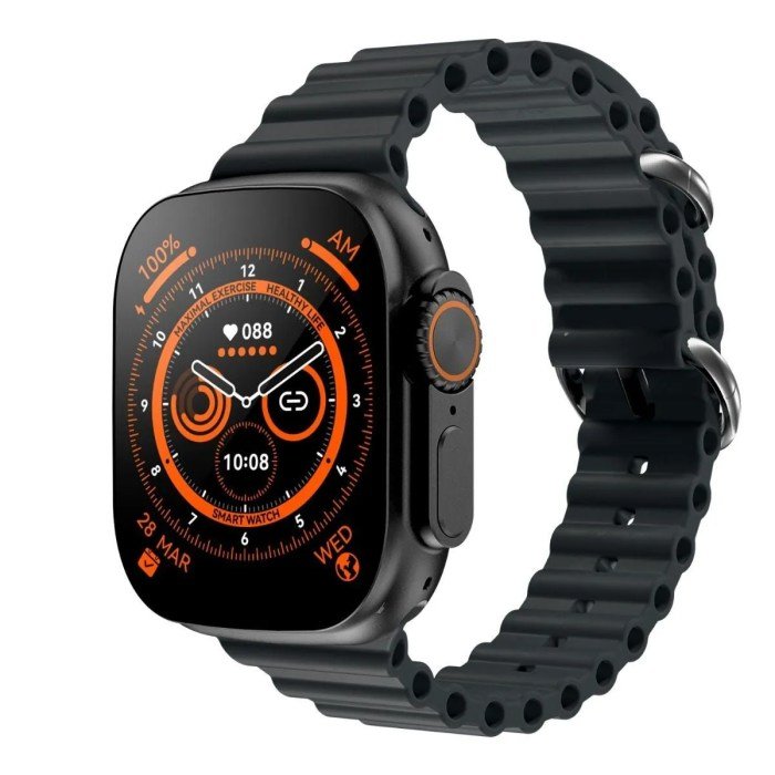 Smartwatch heart rate monitor