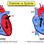 Apple Watch ECG functionality